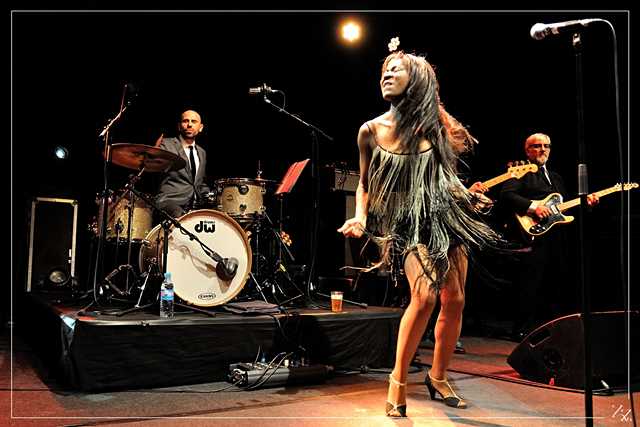 71591 The Excitements 2014-12-19 (Zz) (p).jpg